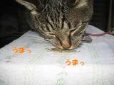 食べミィ