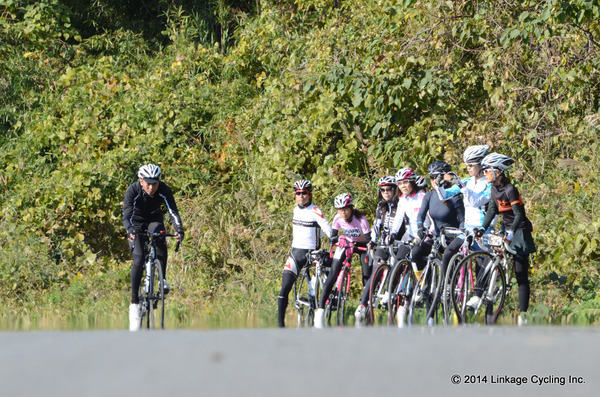 15 linkagecycling 002