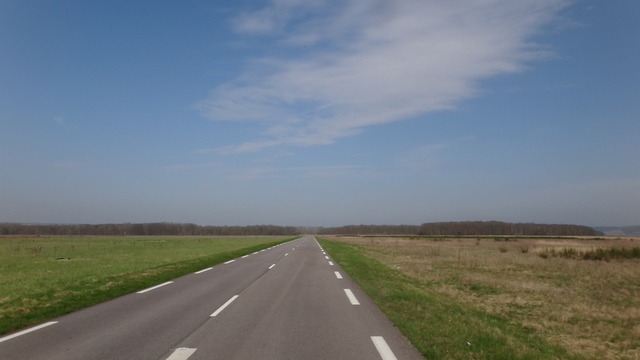 22 006