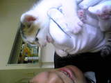 9f862453.