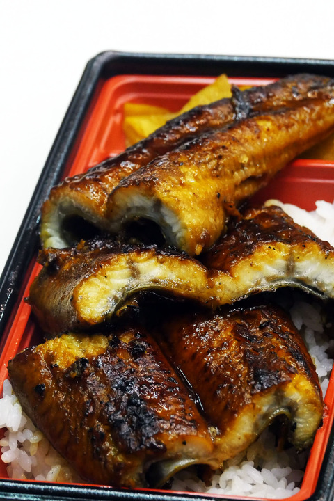 東京ゲームショウ2017で産地不明のウナギが食べられるぞ!