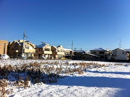 A suburb of Tokyo this morning
