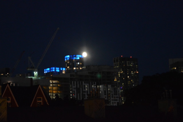 DSC_0717