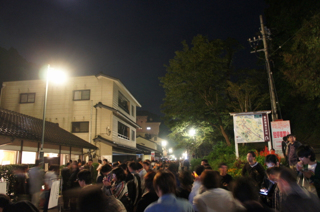 ぼんぼりDSC01359