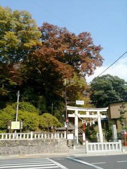 織姫神社_鳥居