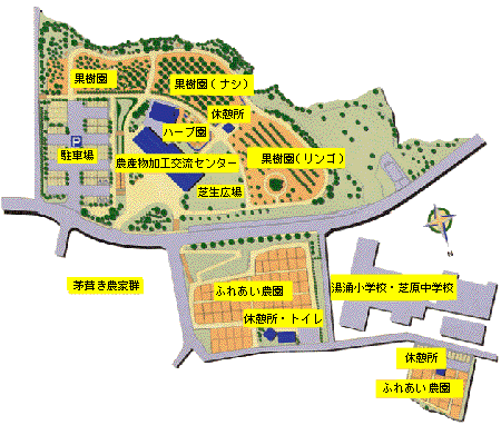 mapS
