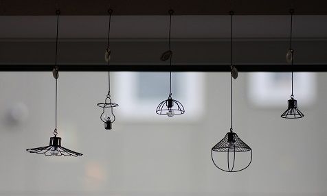 IMG_5313