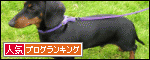 【犬の大辞典】世界中に住む犬達の種類と特徴