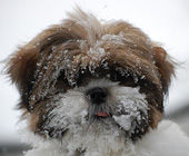 maru5