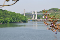 1118三木市(神戸市北区衝原ダム)までの風景