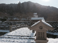 2099畳組合旅行