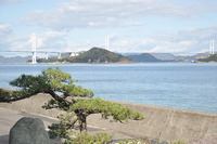 1544しまなみ海
