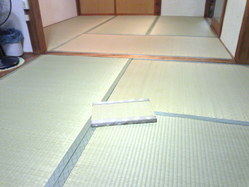 733神戸市中央区表替え