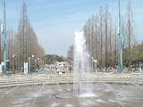 330大阪市鶴見区・花博記念公園鶴見緑地