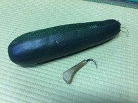 2029ズッキーニ