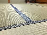 2211涼風