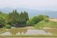 1997長野県へ