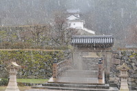 1573畳組合の懇親旅行