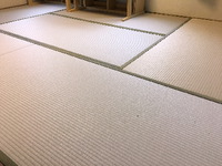 2082大建カラー表灰桜色