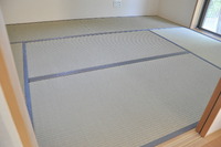1278西宮市のカビのご相談、畳加熱乾燥処理