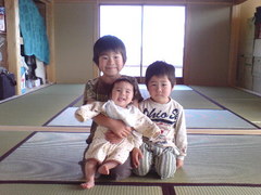 365静岡県新畳納入