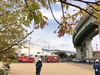 2090灘浜公園