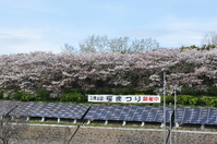 1062箕面市表替え(おもがえ)無農薬畳表(農薬未使用)使用