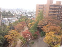 1686マンションのベランダから(神戸市灘区)