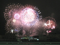 729みなと神戸海上花火大会