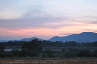 1468岡山県岡山市琉球畳風縁無し畳
