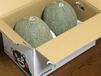 2198八代のメロン