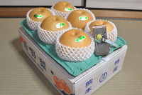 1508熊本からのいただき物