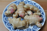 1204生姜の甘酢漬け