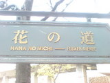 335宝塚市宝塚歌劇花の道