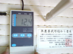 413無農薬栽培稲わら畳床・含水率12.4/兵庫県加古郡播磨町