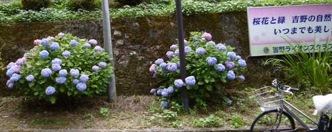 P1020046