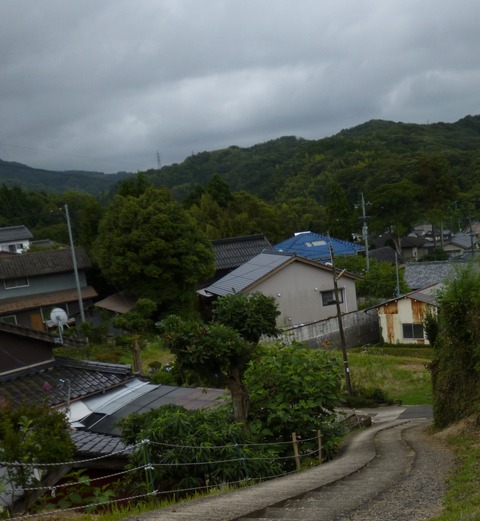 P1000153