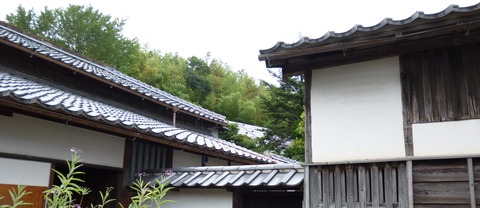 P1000036