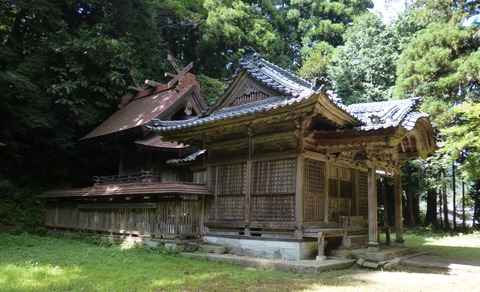 P1020489