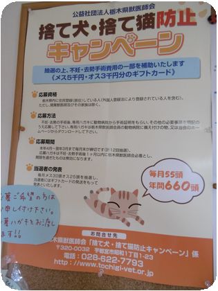 P1000629