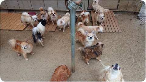 DSCPDC_0000_BURST20180629103