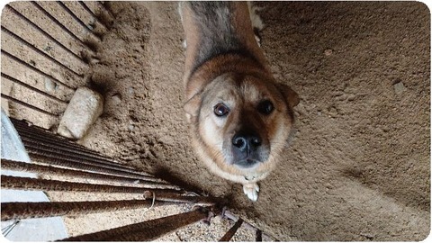 DSCPDC_0000_BURST20180629102