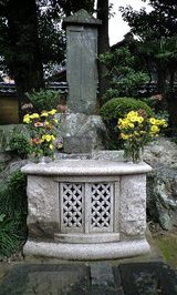 78a1f5c5.jpg