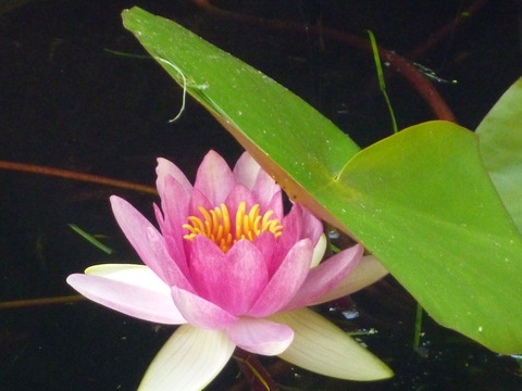 P1000476