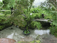 CIMG0315