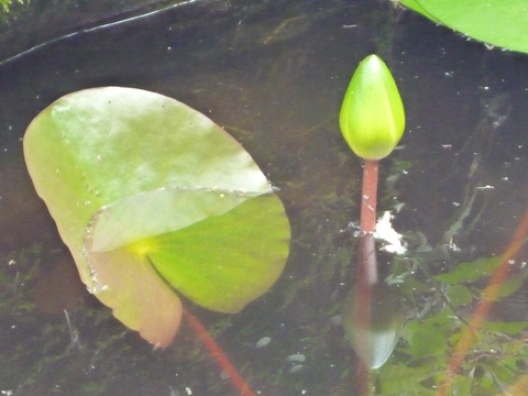P1000473
