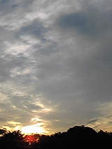 537f2830.jpg