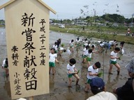 20100510131752014
