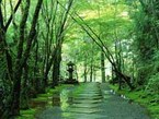 高山寺01