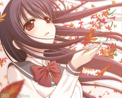 shinohayu6_3
